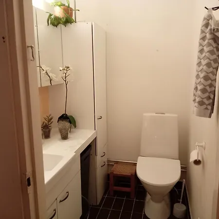 Suuri Puusaunalla Appartement Oulu